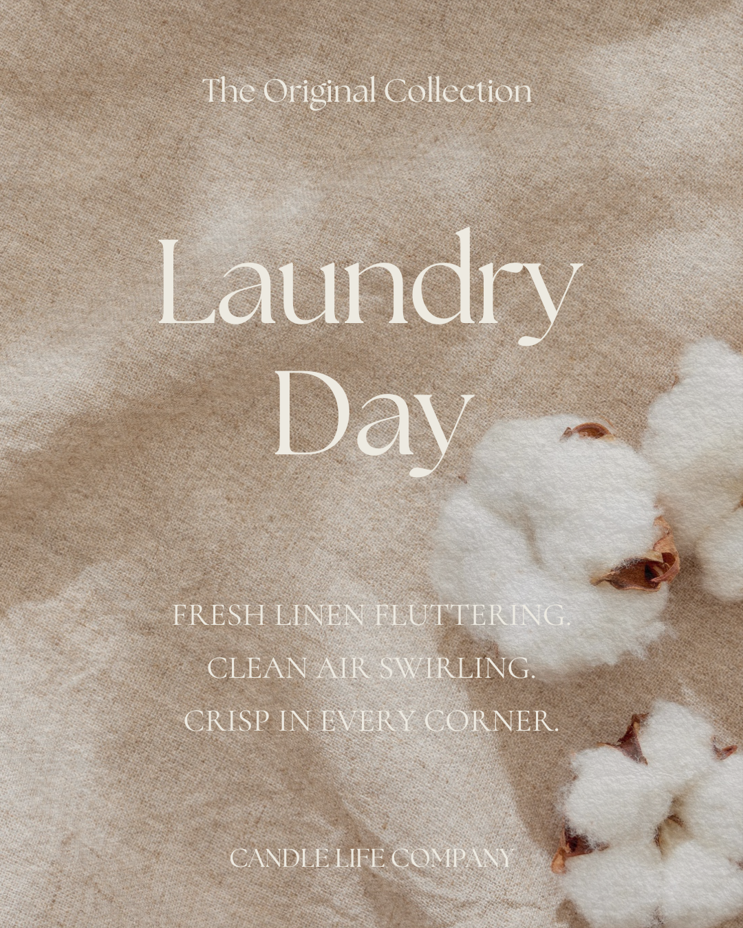 The Discovery Set | 9-Piece Soy Candle Sample Collection